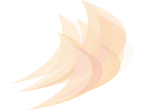 segel_orange_30_transp